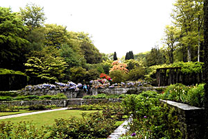 Image of Castle Drogo Gardens