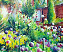Priorwood Garden, Melrose: Alliums