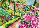 Harmony Garden, Melrose: Pink Azalea